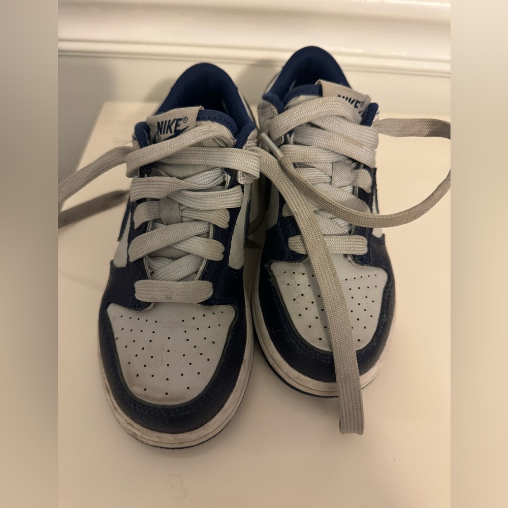 Kids Nike Dunks